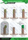 Biology - Lecture notes, plant physiology