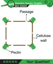 Biology - Lecture notes, plant physiology