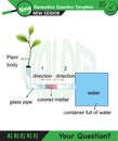 Biology - Lecture notes, plant physiology