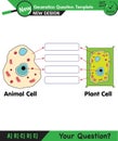 Biology lecture notes, Structure of plant and animal cells, next generation question template Royalty Free Stock Photo