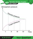 Physics, pressure in liquids and gases, Pascal\'s law, next generation question template