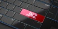 BIZ domain - modern computer keyboard Royalty Free Stock Photo