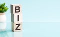 Biz - text in wooden building blocks, blu backgrounds