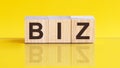 Biz word is made of wooden building blocks lying on the yellow table