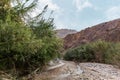 Bizarre bends of mountain river in gorge Wadi Al Ghuwayr or An Nakhil and wadi Al Dathneh near Amman in Jordan