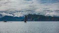 A bizarre cliff rises in the Pacific Ocean.