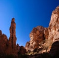 Bizzare rock formation at Essendilene, Tassili nAjjer national park, Algeria Royalty Free Stock Photo