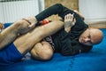 BJJ Brazilian jiu-jitsu ground fight sparing. Leg lock kneebar submission Royalty Free Stock Photo