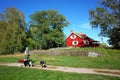 Woman walking outdoor with three dogs on leash on footpath next to traditional red wooden swedish house