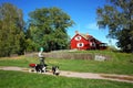 Woman walking outdoor with three dogs on leash on footpath next to traditional red wooden swedish house