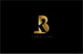 BK Logo simple initial gold color design template