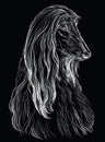 Black Afghan Hound vector hand drawing portrait Royalty Free Stock Photo