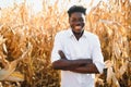 Black Africa American harvesting and peeling corn in corn field. He s fresh smile and happiness in the evening. Corn products. Royalty Free Stock Photo