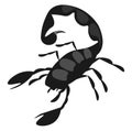 Scorpion, vector or color illustration Royalty Free Stock Photo