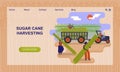 Black agricultural workers are picking a sugarcane in the field. Concept of website, landing page design template