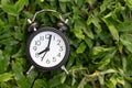 Black alarm clock on green grass background