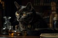 black alchemy cat Royalty Free Stock Photo