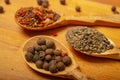 Black allspice, coarse salt and various ground spices in wooden spoons on a wooden Board. Close up