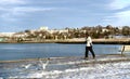 Black American walking at Back Bay, gulls, Portland Maine skyline