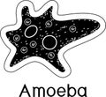 Black Amoeba proteus in flat style