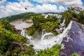 The black Andean condors are circling in the sky Royalty Free Stock Photo