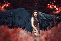 Black Angel. Pretty girl-demon Royalty Free Stock Photo