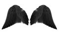 Black angel wings Royalty Free Stock Photo