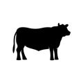 Black angus beef bull standing vector silhouette Royalty Free Stock Photo
