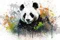 Black animal background bamboo wild bear china asia wildlife nature white panda Royalty Free Stock Photo