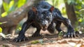 A black Chupacabra with large teeth and claws on the ground, AI