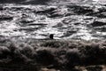 Black anonymous unrecognizable silhouette in a rough sea