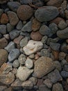 A black ant is looking for something in the middle of a stretch of rocks