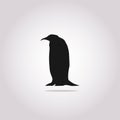 black antarctic penguin silhouette icon. standing pinguin vector illustration isolated on white. Cold, north, nature