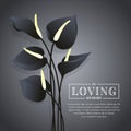 Black Anthurium flower on dark background with in loving memory text vector design