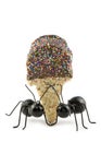 Black Ants Carrying Ice Cream Cone Royalty Free Stock Photo