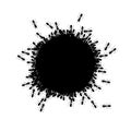 Ants circle border. Ants forming round shape isolated in white background. Vector illustration