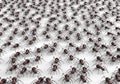 Black ants isolated on a white background