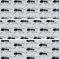 Black ants pattern on gray back