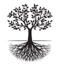 Black apple Tree with Roots. Vector outline Illustration. Plant in Garden