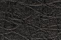 Black artificial or synthetic leather background with neat texture and copy space Royalty Free Stock Photo