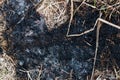 A black ash from burning straw Royalty Free Stock Photo