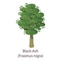 Black ash icon, flat style Royalty Free Stock Photo