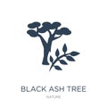 black ash tree icon in trendy design style. black ash tree icon isolated on white background. black ash tree vector icon simple Royalty Free Stock Photo
