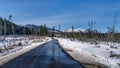 Black asphalt road surrounded by snow and forest leading to the Tatra Mountains