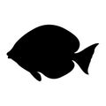 Black`Atlantic Blue Tang` fish silhouette