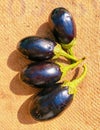 Black aubergine eggplant brinjal baingan solanum melongena edible vegetable food berinjela tropical organic brinjals photo