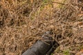 Black automobile bumper on ground