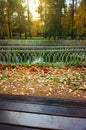 Black autumn bench bokeh background