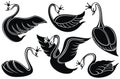 Swans, flying, resting swans. Bird with a crown .Tattoo design Royalty Free Stock Photo