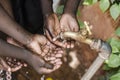 Black Baby Hands Under African Water Tap World Issue Royalty Free Stock Photo
